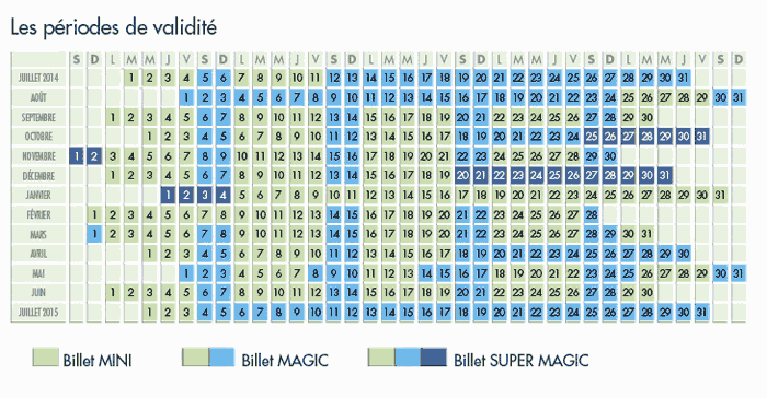 Билеты в парижский  Диснейленд