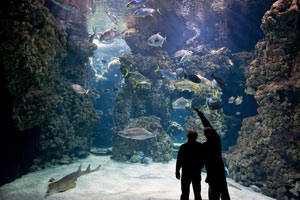 MUSEE OCEANOGRAPHIQUE DE MONACO MONACO MUSEE OCEANOGRAPHIQUE DE MONACO MONACO