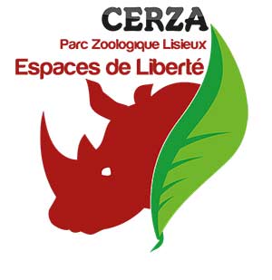 Visuel de fond