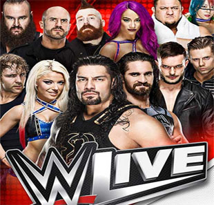 Catch WWE LIVE BRUXELLES - BRUSSEL