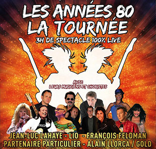 Variété en Frans chanson LES ANNEES 80 A GRENOBLE GRENOBLE