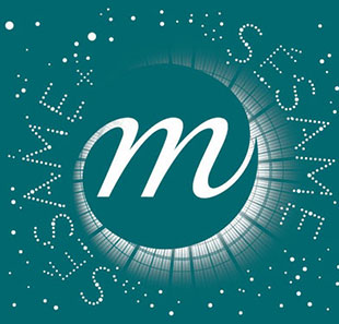 Tentoonstellingspas PASS SESAME+ SOLO SAISON 2018-2019 PARIS