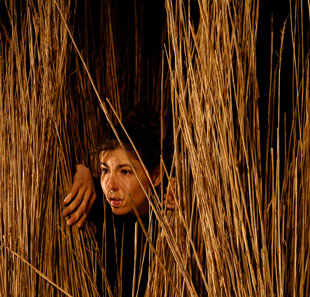 Spectacle pour enfants BESTIAIRE VEGETAL ALLONNES