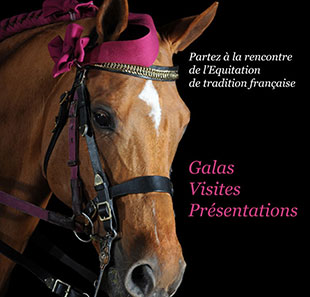 Evenement met paarden LES MATINALES DU CADRE NOIR ST HILAIRE ST FLORENT