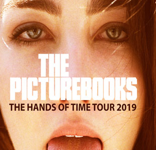 Rock THE PICTUREBOOKS PARIS