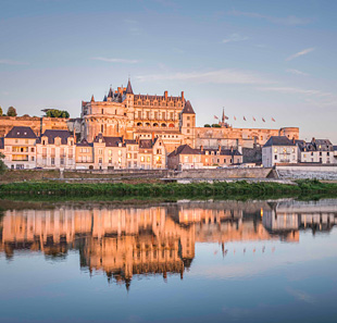 Monumentenbezoek ENTREE CHATEAU ROYAL D'AMBOISE AMBOISE