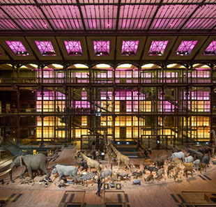 Expo/museum voor kinderen GRANDE GALERIE DE L'ÉVOLUTION PARIS