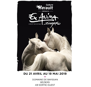 Hedendaags theater ZINGARO « EX ANIMA » Conception Bartabas BEZIERS