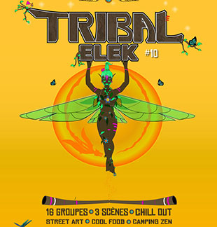 Muziek, Azië, Indië en Oceanië FESTIVAL TRIBAL ELEK 2019 PASS 2 JOURS DU 09 AU 10/08/2019 ANDILLY