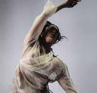 Hedendaagse dans DANCENORTH AUSTRALIA DUST PARIS