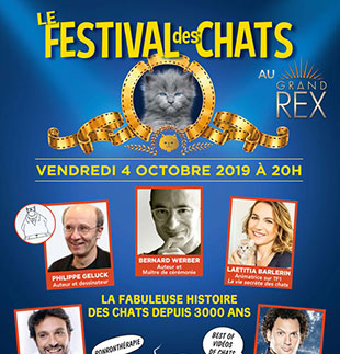 Thema-avond LE FESTIVAL DES CHATS PARIS