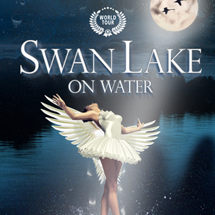 Klassiek dans SWAN LAKE ON THE WATER Het Zwanenmeer/Le Lac des Cygnes BRUXELLES-BRUSSEL