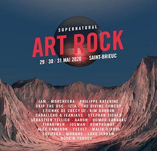 Hedendaagse dans FORFAIT JOURNEE ART ROCK DIMANCHE ST BRIEUC