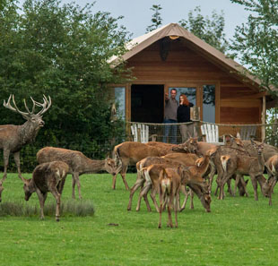 PARC ANIMALIER DE SAINTE-CROIX PARC ANIMALIER DE SAINTE-CROIX
