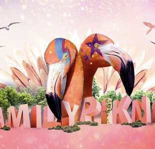 Electronische muziek FAMILY PIKNIK 2020 - PASS 1 JOUR 9E EDITION MONTPELLIER