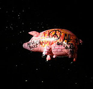 TRIBUTE PINK FLOYD TRIBUTE PINK FLOYD