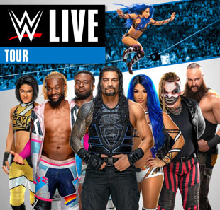 Catch WWE LIVE PARIS