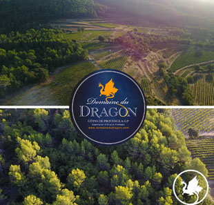 Klassieke muziek MUSIQUE INDIENNE DOMAINE DU DRAGON CONCERT DEGUSTATION DRAGUIGNAN