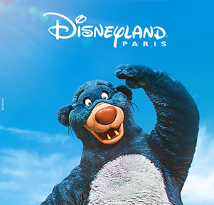 Pretpark DISNEY - 2 JOURS - 2 PARCS MARNE LA VALLEE CEDEX 4