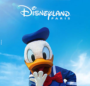 Pretpark DISNEY 1 JOUR-1 PARC BILLET MAGIC MARNE LA VALLEE CEDEX 4