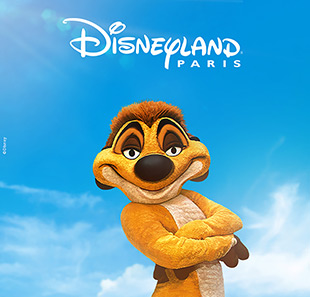 Pretpark DISNEY 1 JOUR-1 PARC BILLET MINI MARNE LA VALLEE CEDEX 4