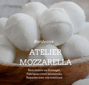 Workshop volwassenen FABRIQUEZ VOTRE MOZZARELLA LES ATELIERS WECANDOO BORDEAUX