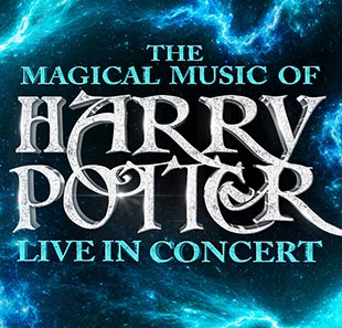 Filmmuziek THE MAGICAL MUSIC OF HARRY POTTER NICE