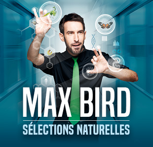 One man/woman show MAX BIRD SELECTIONS NATURELLES LE HAVRE