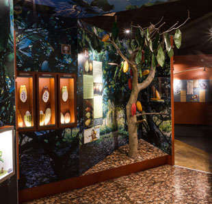 MUSEE GOURMAND DU CHOCOLAT MUSEE GOURMAND DU CHOCOLAT