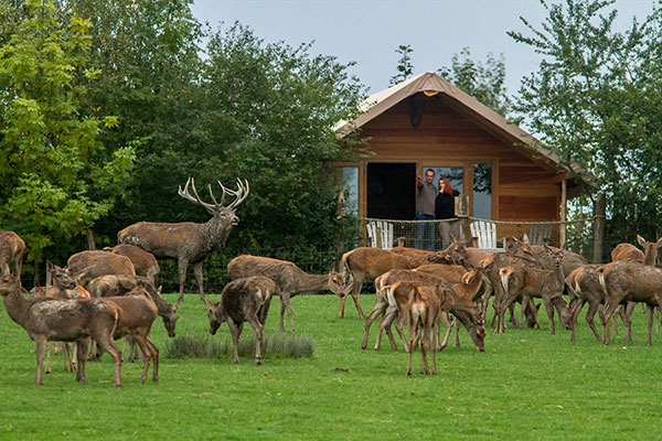 PARC ANIMALIER DE SAINTE-CROIX PARC ANIMALIER DE SAINTE-CROIX