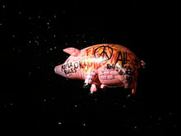TRIBUTE PINK FLOYD TRIBUTE PINK FLOYD
