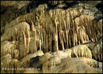 DOMAINE DES GROTTES DE HAN HAN-SUR-LESSE DOMAINE DES GROTTES DE HAN HAN-SUR-LESSE